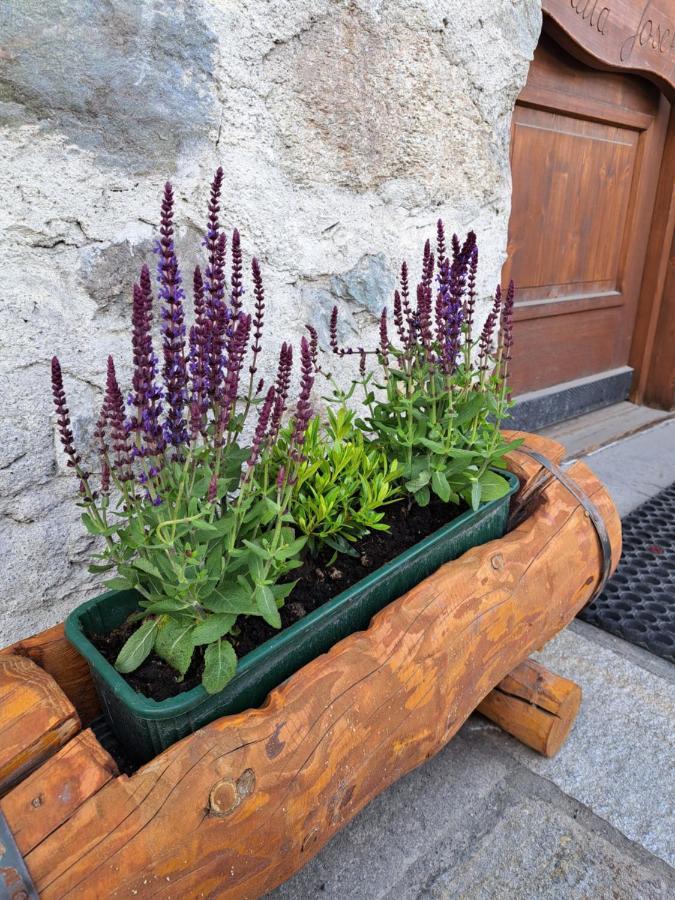 Appartamenti Joseff Livigno Zewnętrze zdjęcie